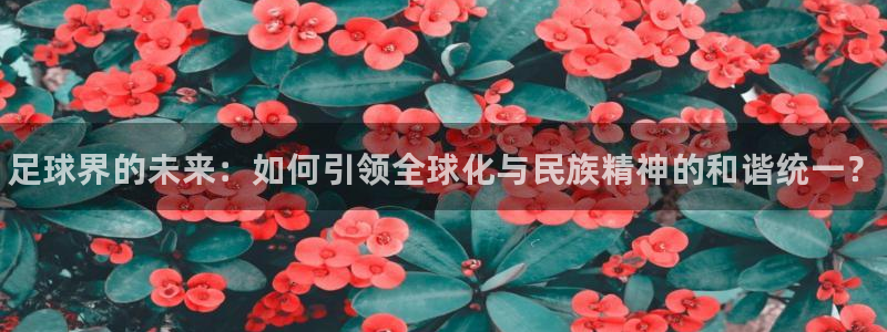 vsport体育官方平台体育：足球界的未来：如何引领
