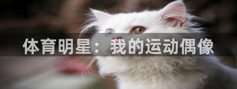 vsport体育官网下载招商电话：体育明星：我的运动
