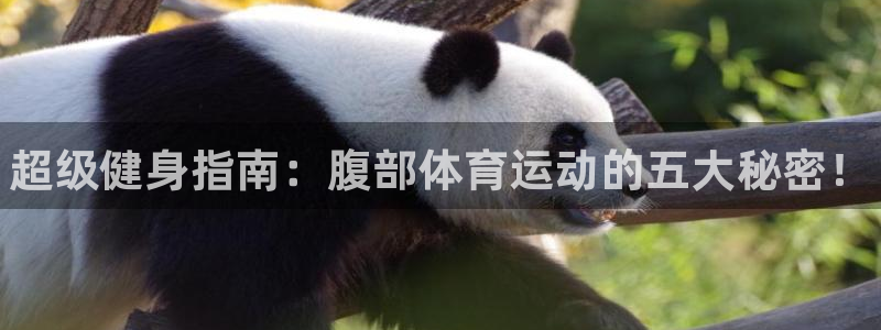 vsport体育官网下载招商电话号码是多少号：超级健身指南：