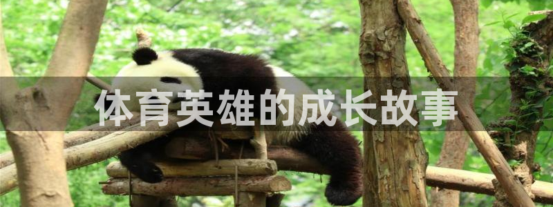 vsport体育官网下载招商电话地址是多少：体育英雄