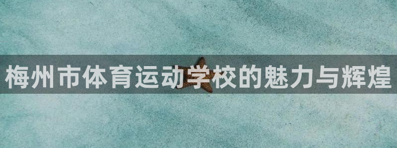 vsport体育官方正版app娱乐是那个系列的台子