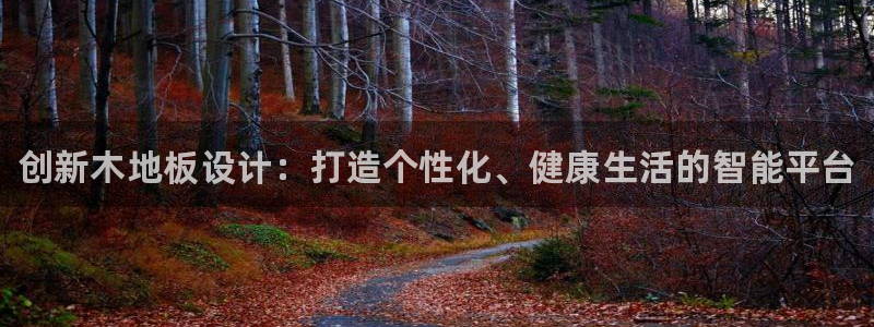 vsport体育官方正版app集团简介：创新木地板设