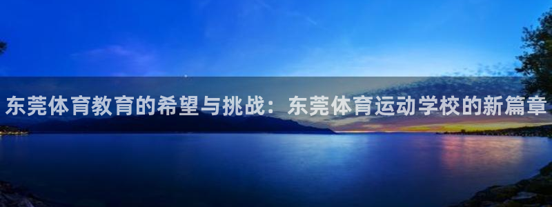 海南vsport体育官网下载：东莞体育教育的希望与挑战：东莞
