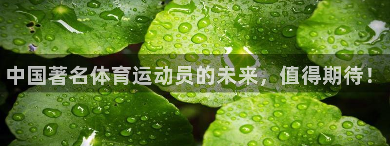 vsport体育官网下载娱乐：中国著名体育运动员的未来，值得
