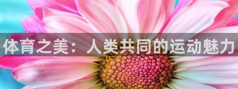vsport体育官网下载招商电话是多少：体育之美：人类共同的