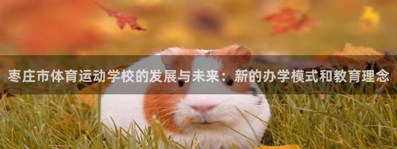 vsport体育官网下载招商电话：枣庄市体育运动学校