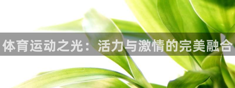 vsport体育官方正版app娱乐：体育运动之光：活
