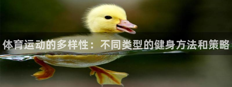 vsport体育官网下载招商电话是多少：体育运动的多