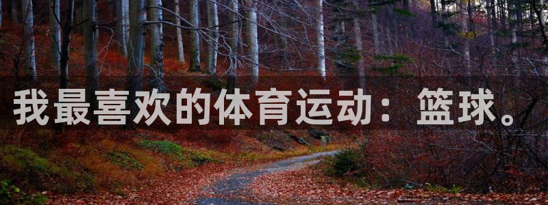 vsport体育官网下载平台注册流程视频：我最喜欢的