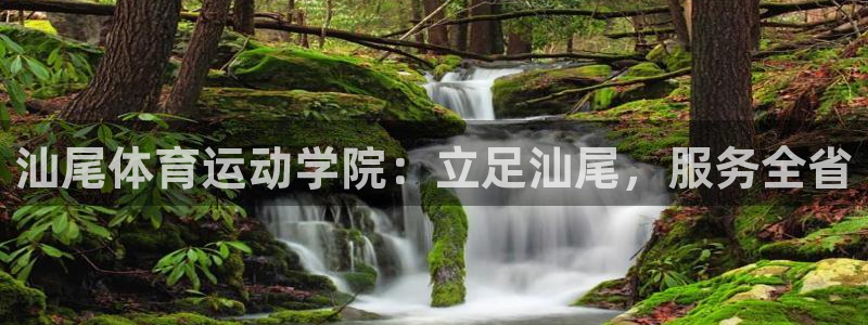 vsport体育官网下载招商电话号码：汕尾体育运动学院：立足