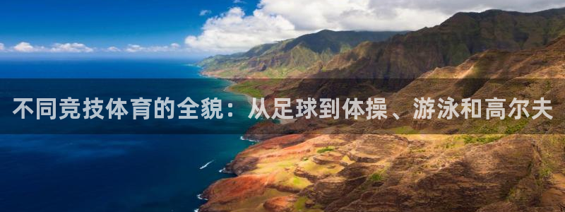 海南vsport体育官网下载：不同竞技体育的全貌：从