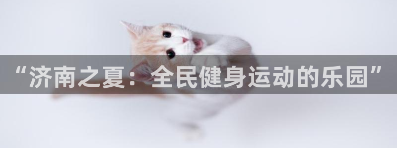 vsport体育官网下载开户：“济南之夏：全民健身运动的乐园