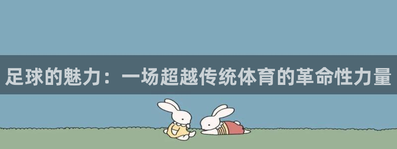 vsport体育官方正版app娱乐：足球的魅力：一场