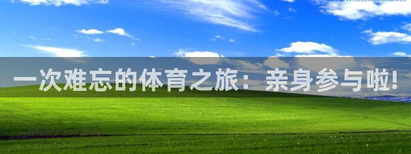 vsport体育官方正版app集团官网首页：一次难忘的体育之