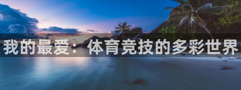 vsport体育官方正版app娱乐首页官网下载