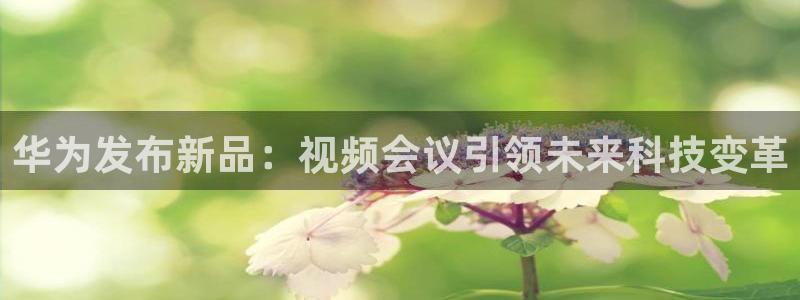178今日篮球赛事直播：华为发布新品：视频会议引领未来科技变革