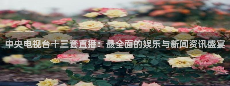 178直播体育：中央电视台十三套直播：最全面的娱乐与新闻资讯盛宴