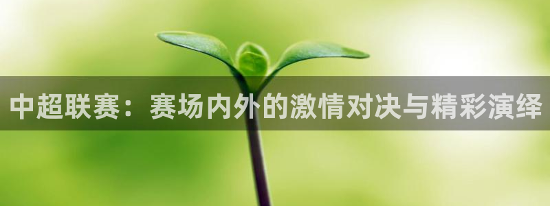 足球直播178直播：中超联赛：赛场内外的激情对决与精彩演绎