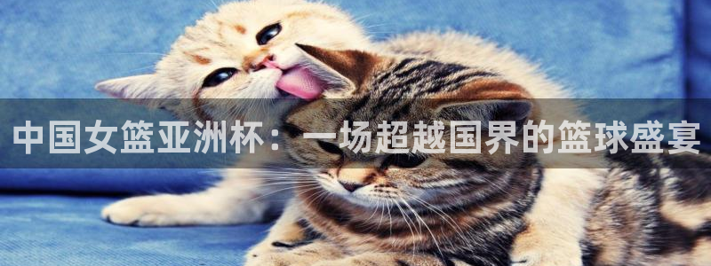 nba在线直播免费观看直播178：中国女篮亚洲杯：一场超越国界的篮球盛宴