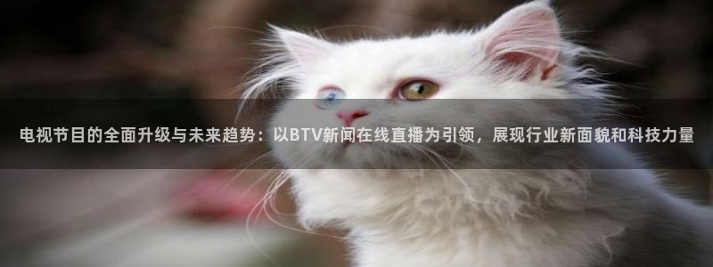 178足球直播平台：电视节目的全面升级与未来趋势：以BTV新闻在线直播为引领，展现行业新面貌和科技力量
