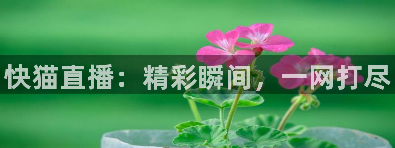 178体育直播网：快猫直播：精彩瞬间，一网打尽
